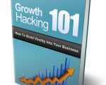 Growth Hacking 101