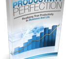 Productivity Perfection