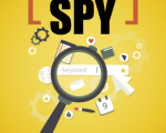 SEO Spy